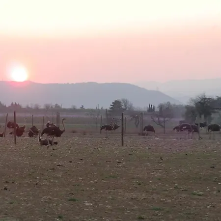 Vakantieboerderij Les Roulottes-gites De La Ferme De L'autruche Dromoise Livron-sur-Drôme