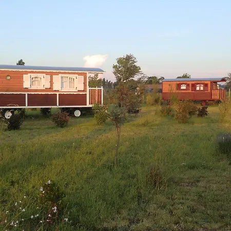 Farm stay Les Roulottes-Gites De La Ferme De L'Autruche Dromoise